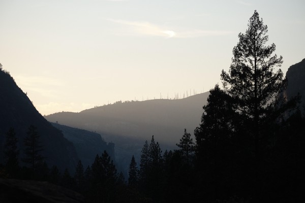 Silhouette of Yosemite mountains and trees
